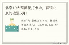 北京10大蔷薇花打卡地，解锁北京的浪漫5月！