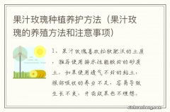 果汁玫瑰的养殖方法和注意事项 果汁玫瑰种植养护方法