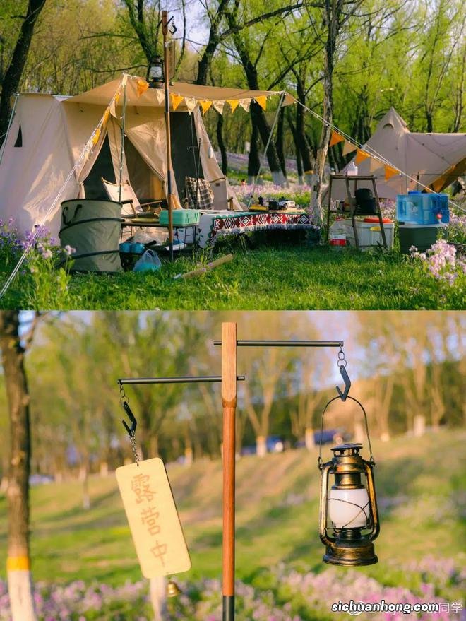 双面露营:爱好者的乌托邦,投机者的发财梦