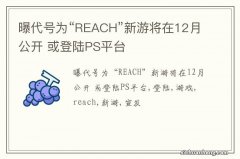 曝代号为“REACH”新游将在12月公开 或登陆PS平台