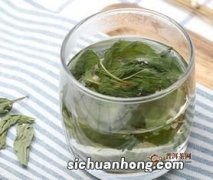 茉莉茶不能和什么吃