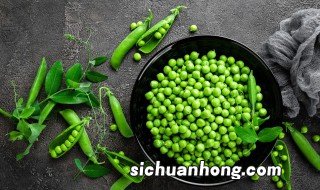 豌豆家庭种植方法，豌豆家庭种植方法图片