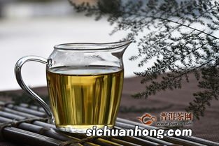 景迈生态是什么茶