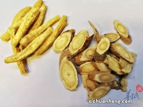 健脾养胃代茶饮是什么