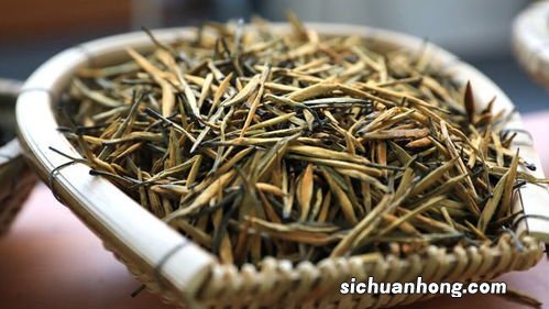 黄金芽属于什么茶类