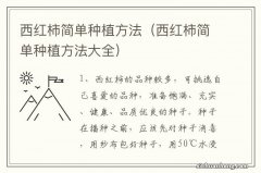 西红柿简单种植方法大全 西红柿简单种植方法