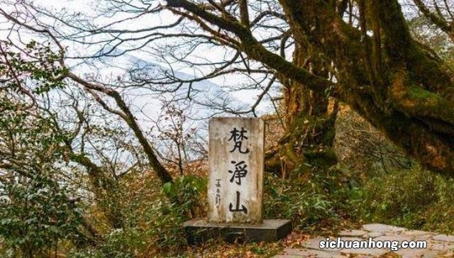中国版的“天空之城”，离地2494米，在游戏场景中都不敢运用