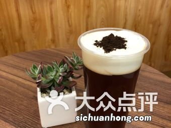 贡茶乌龙茶什么牌