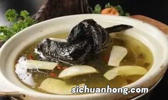 乌鸡汤做法怎么做