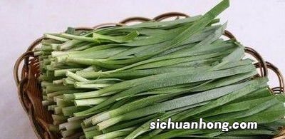 吃完韭菜不能吃什么水果