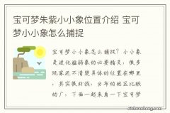 宝可梦朱紫小小象位置介绍 宝可梦小小象怎么捕捉