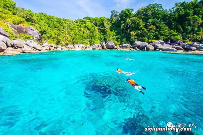 明年再见!泰国斯米兰和素林岛封岛,进入每年5个月的休养生息