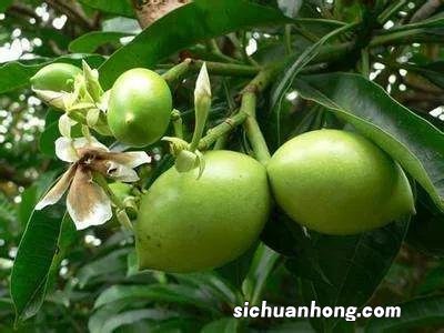 散落人间的15个冷知识,这迷乱的人情风物,让我的智商中了毒