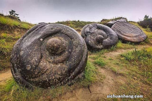 散落人间的15个冷知识,这迷乱的人情风物,让我的智商中了毒