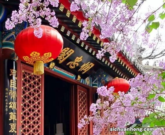 散落人间的15个冷知识,这迷乱的人情风物,让我的智商中了毒