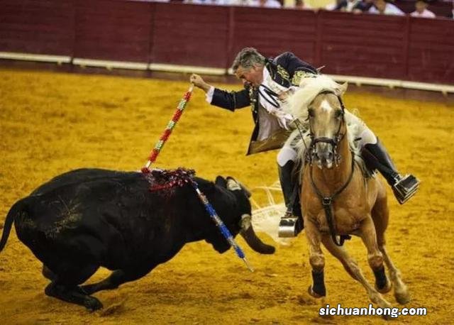 散落人间的15个冷知识,这迷乱的人情风物,让我的智商中了毒