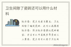 卫生间除了瓷砖还可以用什么材料