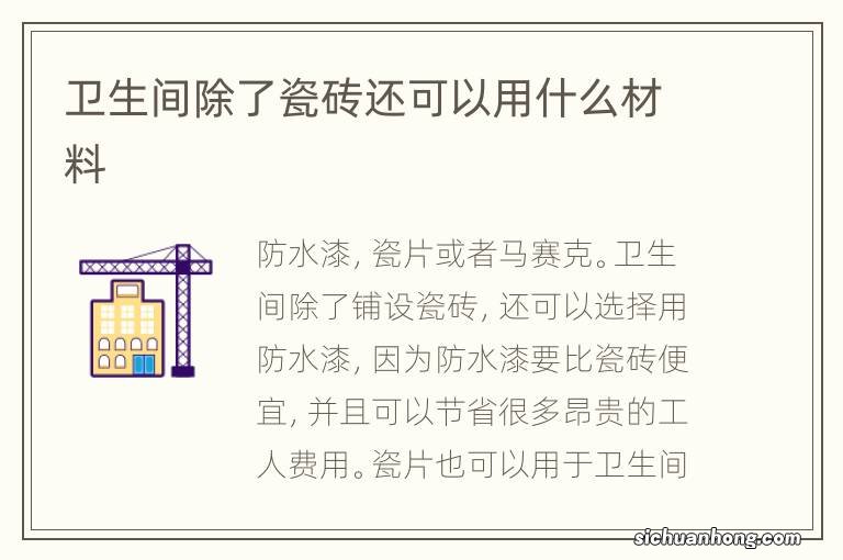 卫生间除了瓷砖还可以用什么材料