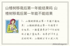 山楂树移栽后第一年能结果吗 山楂树移栽后第一年能不能结果