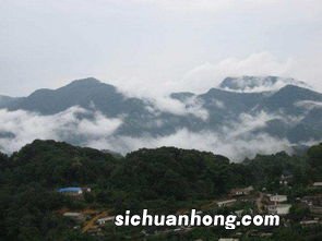 易武是什么意思