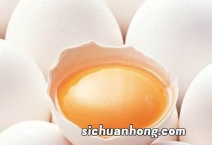 吃什么食物精子有活力