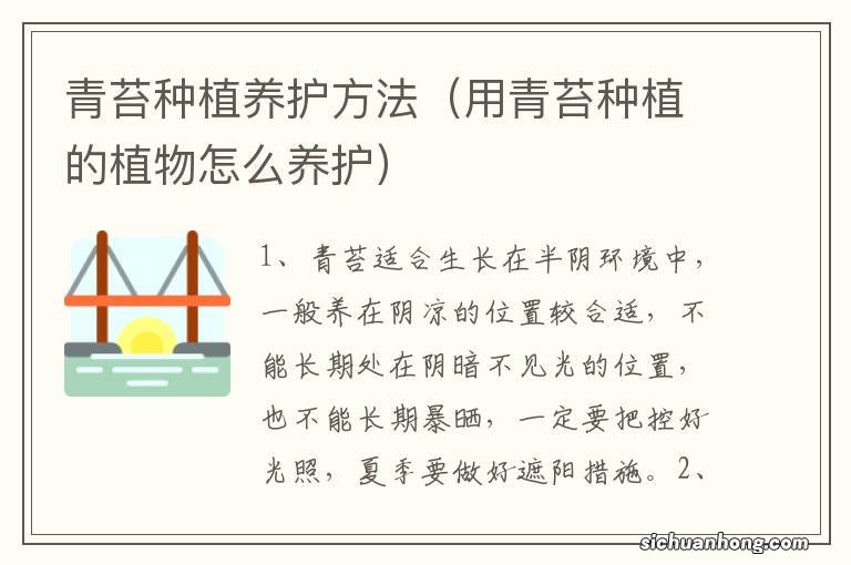 用青苔种植的植物怎么养护 青苔种植养护方法