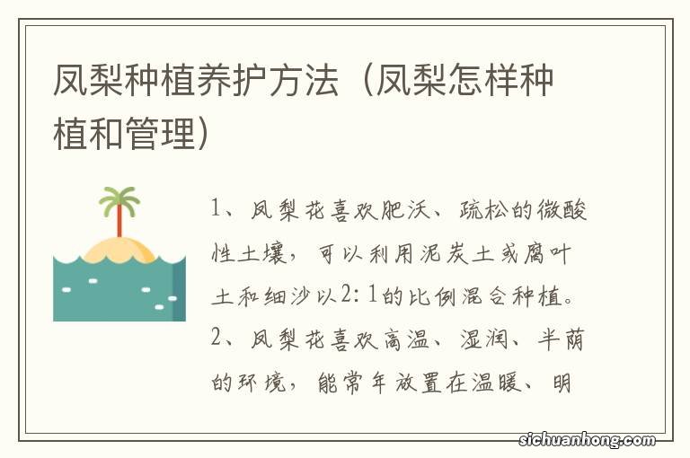 凤梨怎样种植和管理 凤梨种植养护方法