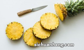 凤梨怎样种植和管理 凤梨种植养护方法