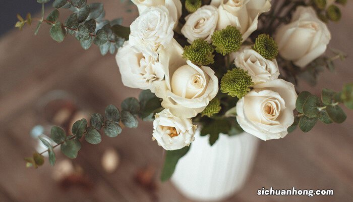 老师送什么花合适 老师送什么花