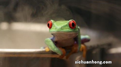 为什么水煮青蛙青蛙不会跑