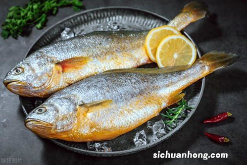 保鲜的鱼可以放多久