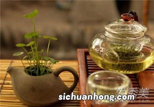 白花茶叶什么时候喝好