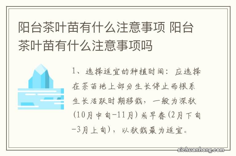 阳台茶叶苗有什么注意事项 阳台茶叶苗有什么注意事项吗