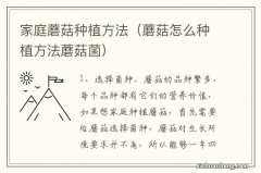 蘑菇怎么种植方法蘑菇菌 家庭蘑菇种植方法