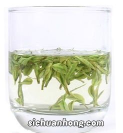 安吉白茶新茶什么时候