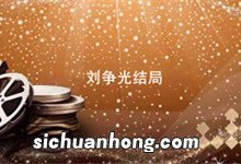 刘争光结局 夺金刘争光结局