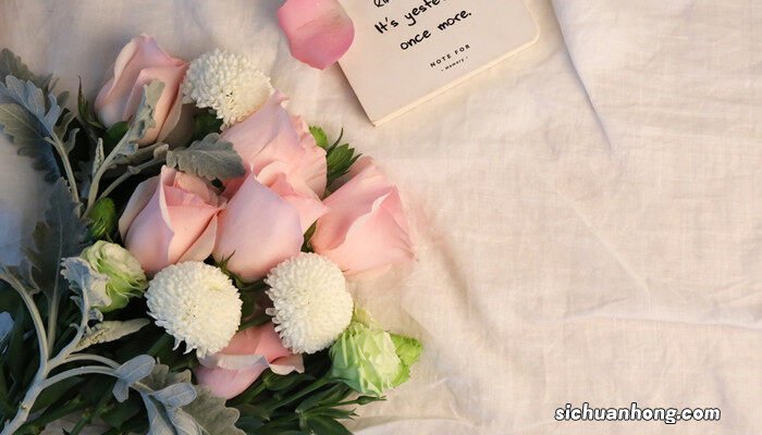 三八节送什么花最好 三八节送什么花