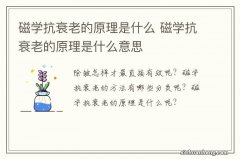 磁学抗衰老的原理是什么 磁学抗衰老的原理是什么意思