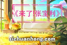 来了张宝利大结局 来了张宝利大结局是什么