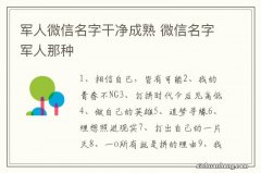 军人微信名字干净成熟 微信名字军人那种