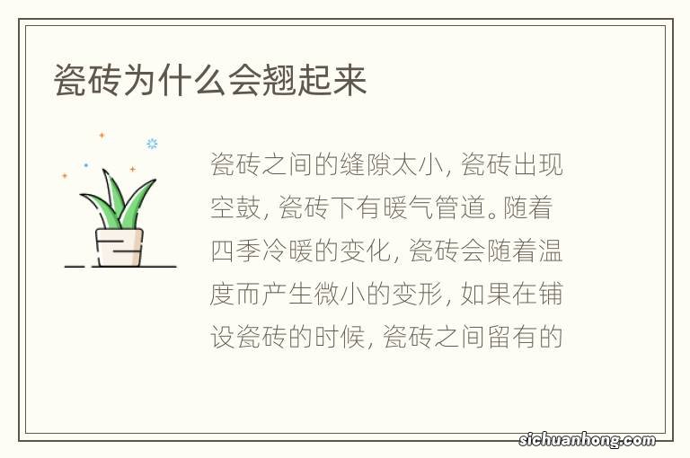 瓷砖为什么会翘起来