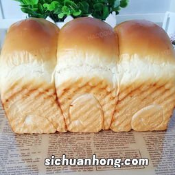 吐司面包怎么低温发酵