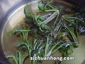 香椿开水烫多久好