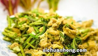 香椿开水烫多久好