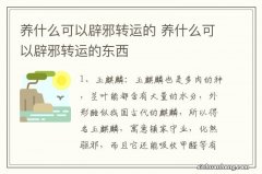 养什么可以辟邪转运的 养什么可以辟邪转运的东西