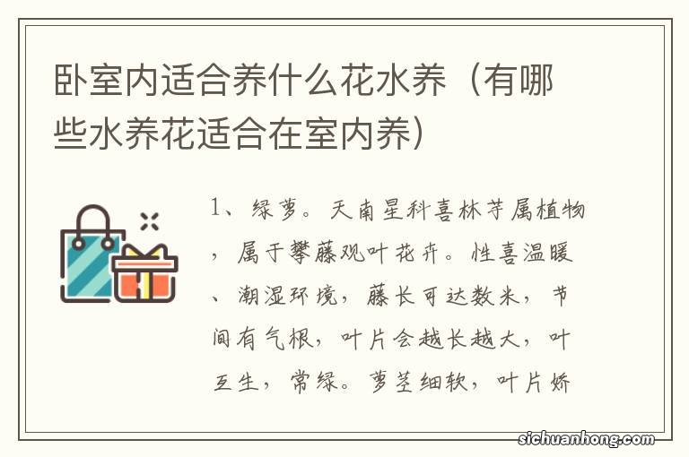 有哪些水养花适合在室内养 卧室内适合养什么花水养