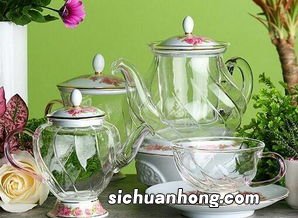 绿茶用什么茶壶泡好