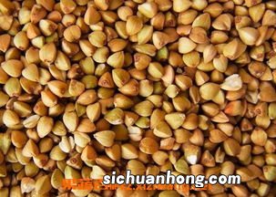 荞面和什么相克