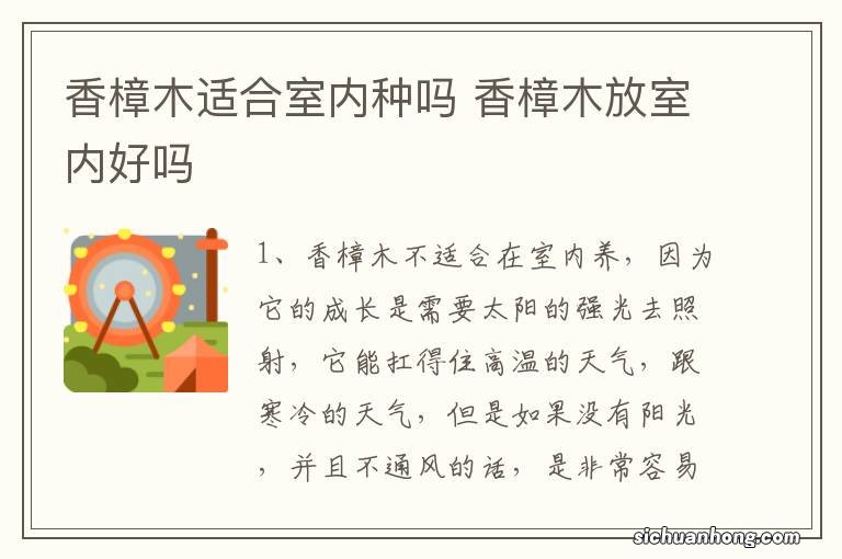 香樟木适合室内种吗 香樟木放室内好吗