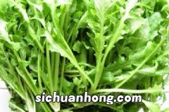 云南腾冲发现可食用巨型野生菌，比小孩子还高大